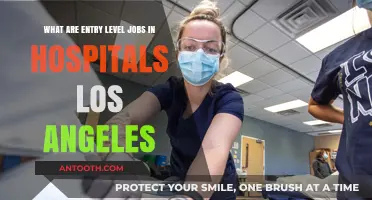 Exploring Entry-Level Hospital Jobs in Los Angeles: Opportunities and Paths