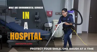 Hospital Environmental Services: Ensuring Sanitation and Safety