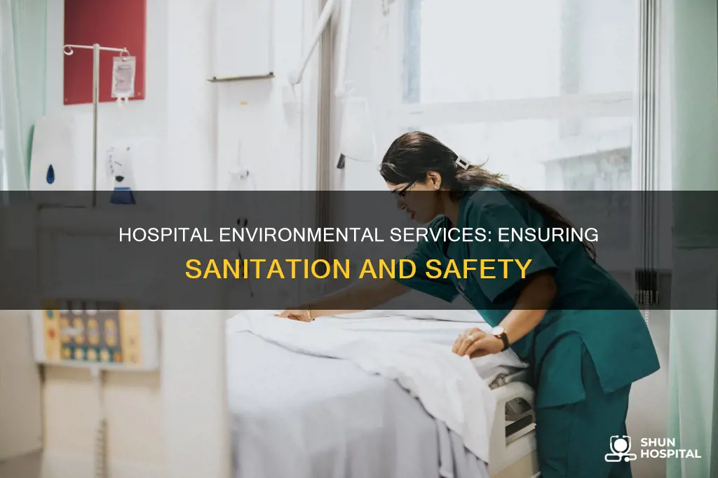 what are environmental services in a hospital