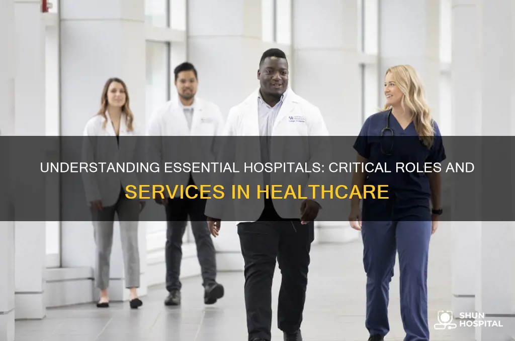 what are essential hospitals