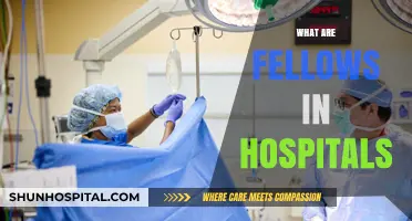 Understanding Hospital Fellows: Roles, Responsibilities, and Impact on Patient Care