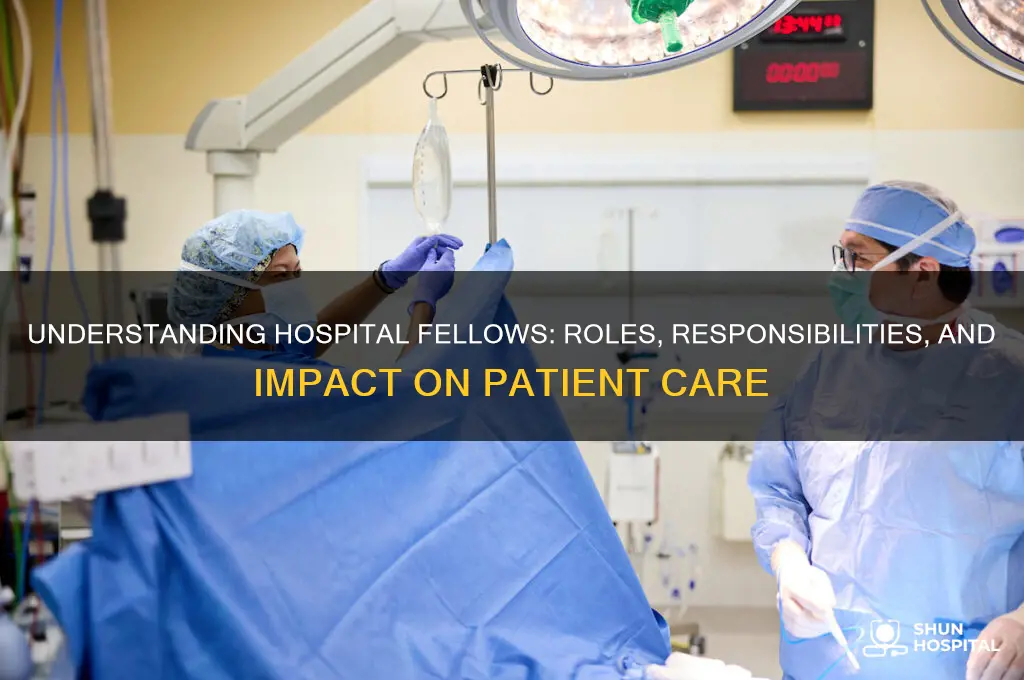 what are fellows in hospitals