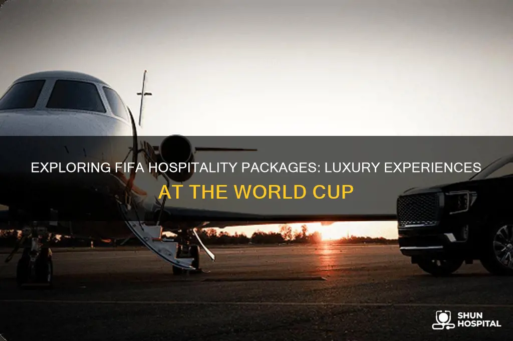 what are fifa hospitality packages