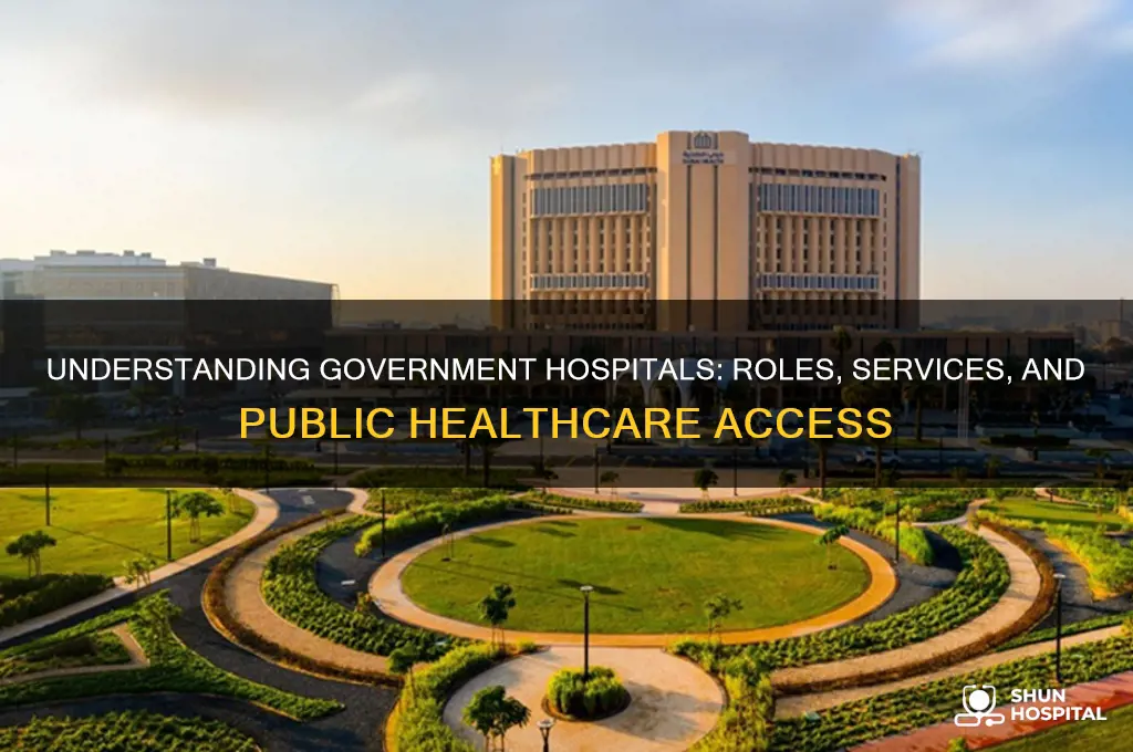 what are government hospitals