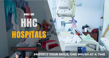 Understanding HHC Hospitals: Comprehensive Care in New York City