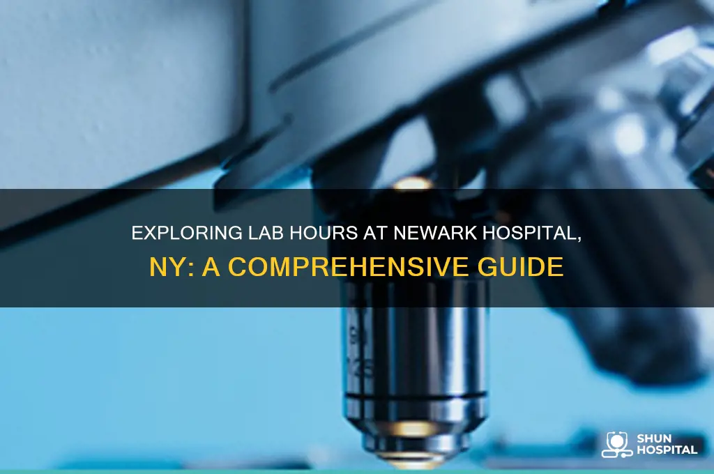 what are hoirs for lab at newark hospital ny
