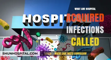 Understanding Hospital-Acquired Infections: Causes, Prevention, and Treatment