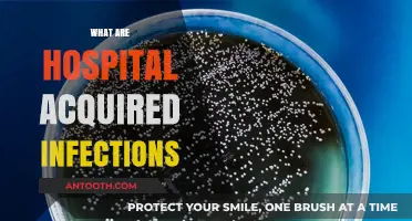 Understanding Hospital-Acquired Infections: Causes, Risks, and Prevention Strategies