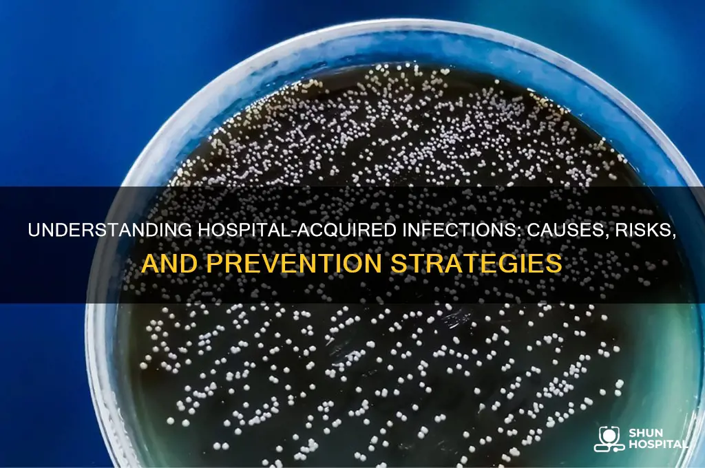 what are hospital acquired infections