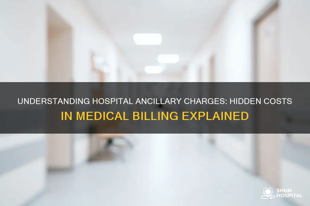 what are hospital ancillary charges