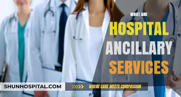 Understanding Hospital Ancillary Services: Essential Support for Patient Care