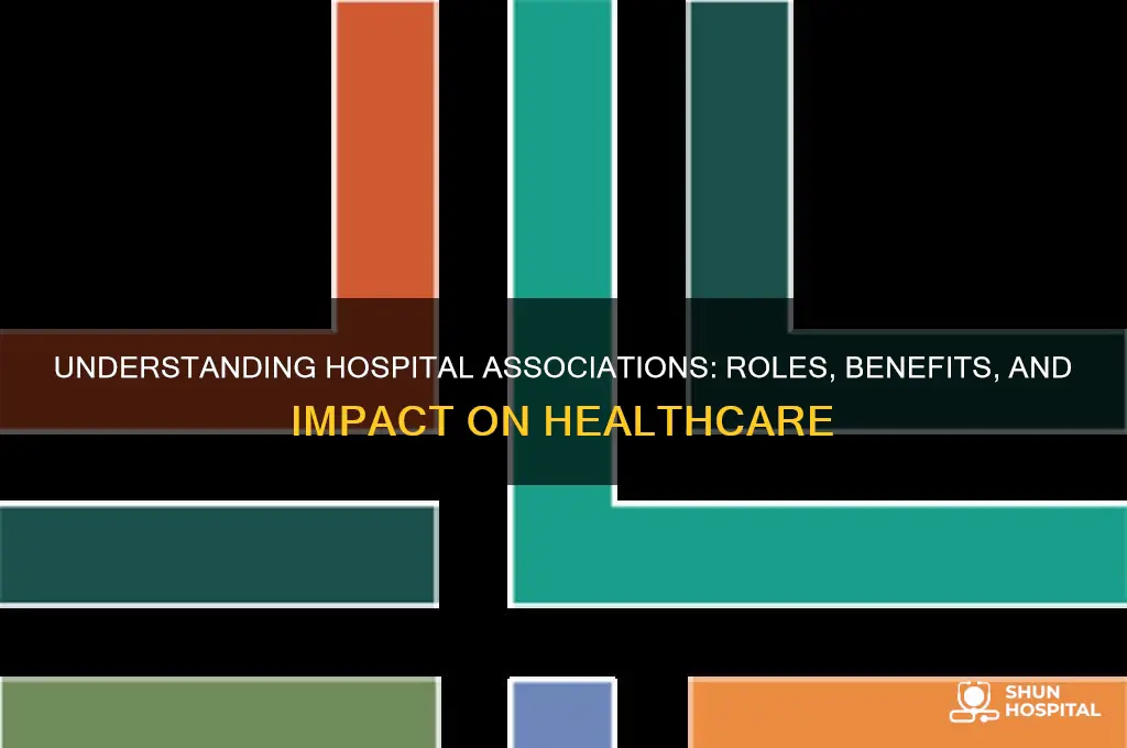 what are hospital associations