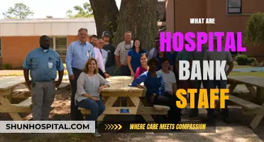 Understanding Hospital Bank Staff: Roles, Responsibilities, and Importance