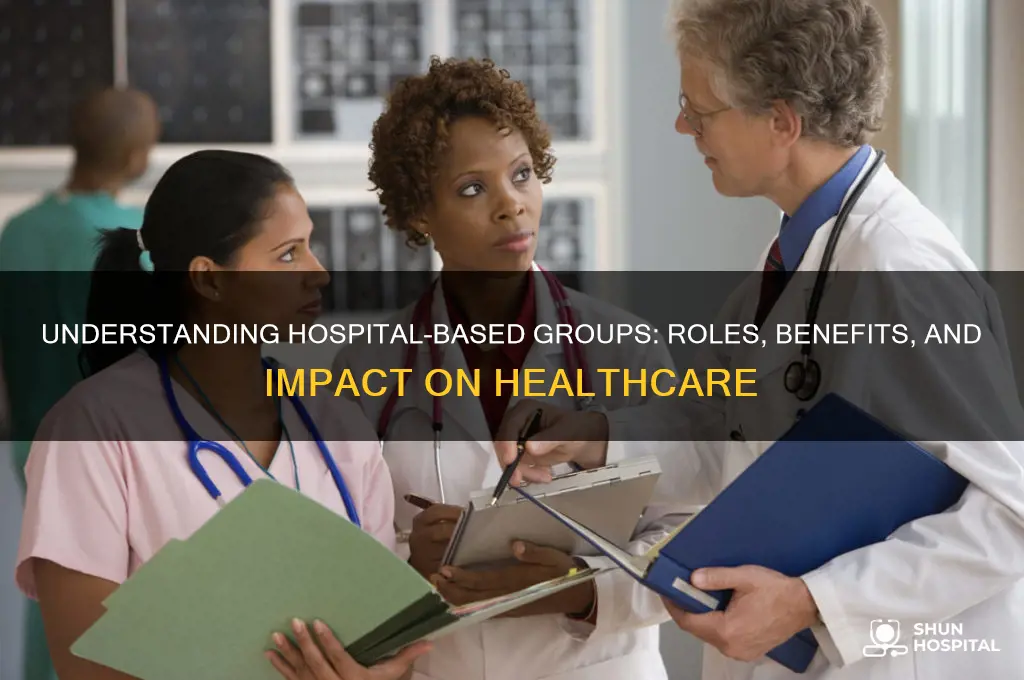 what are hospital based groups