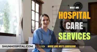 Understanding Hospital Care Services: Essential Support for Patient Recovery