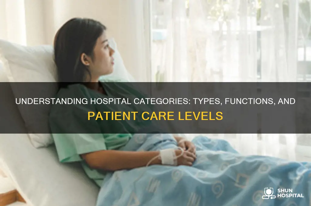 what are hospital categories