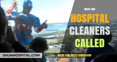 Unsung Heroes: Understanding the Role of Hospital Cleaning Staff