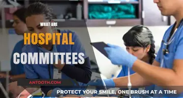 Understanding Hospital Committees: Roles, Responsibilities, and Importance in Healthcare