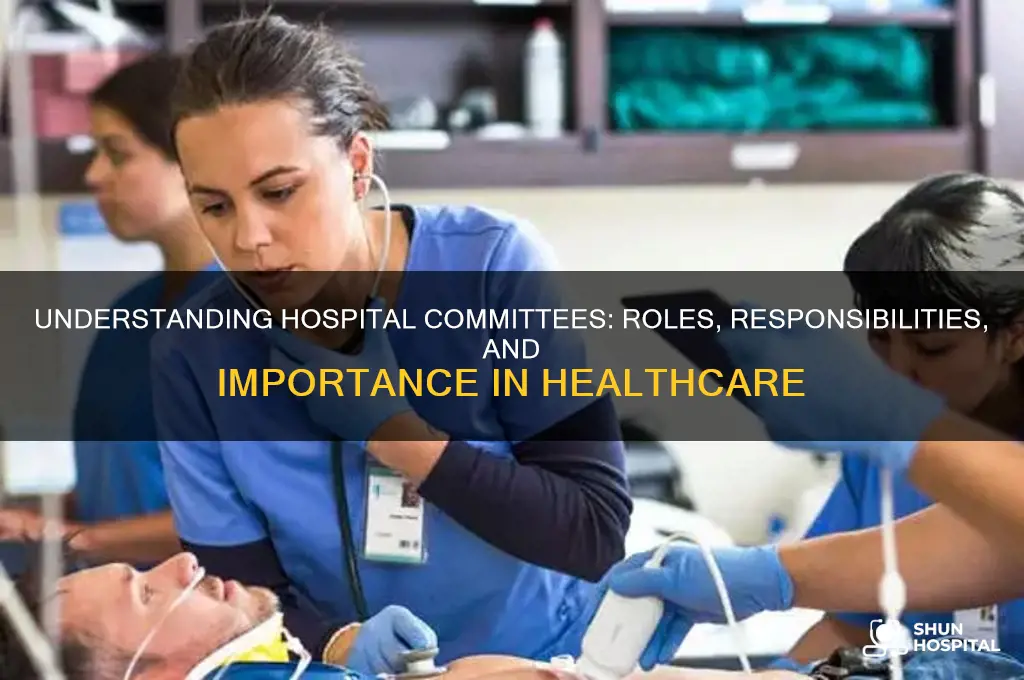 what are hospital committees