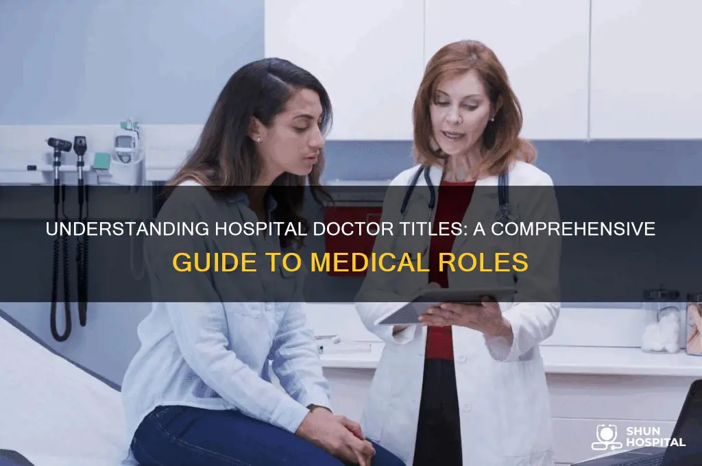 what are hospital doctors called