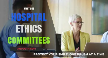 Understanding Hospital Ethics Committees: Role, Responsibilities, and Impact on Patient Care