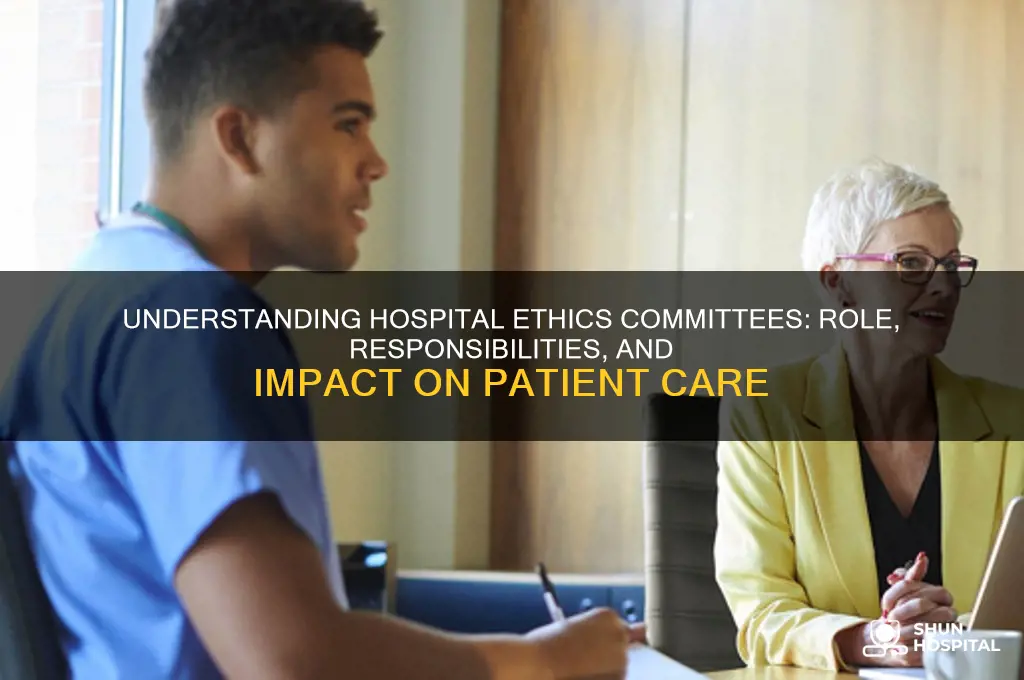 what are hospital ethics committees