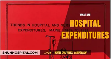 Understanding Hospital Expenditures: Costs, Trends, and Financial Insights
