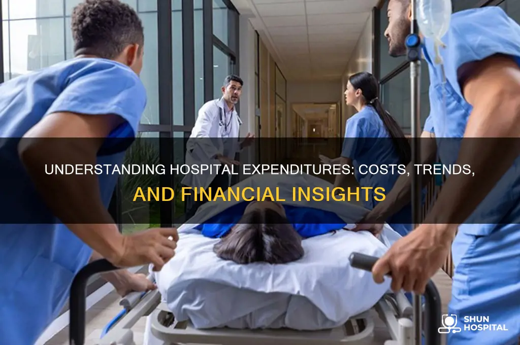 what are hospital expenditures