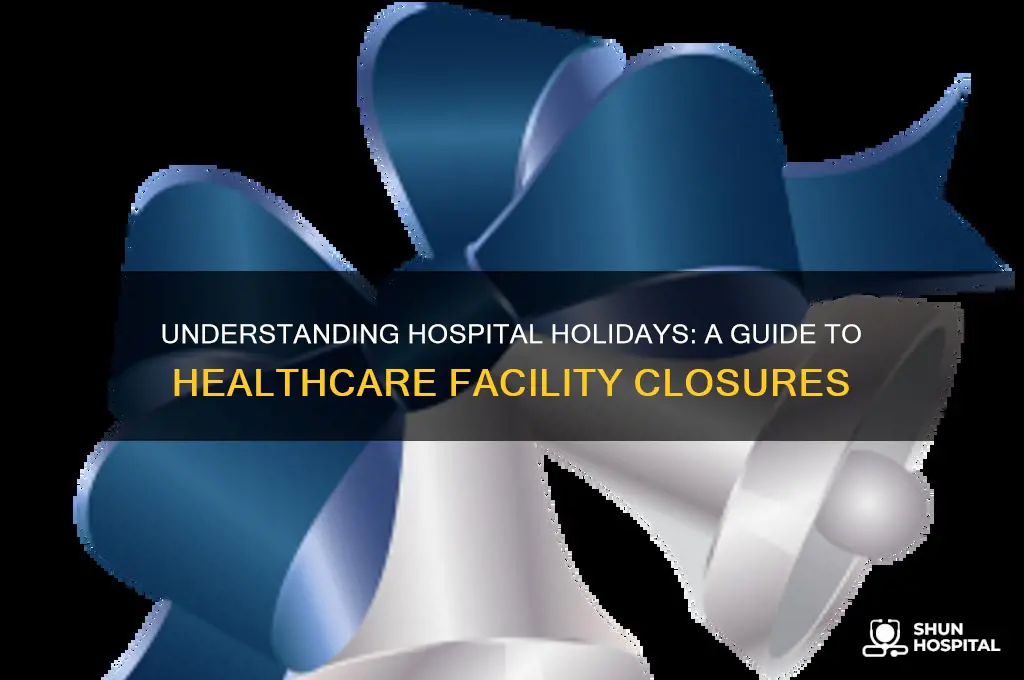 what are hospital holidays