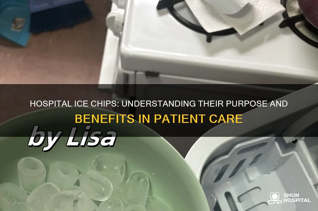 what are hospital ice chips
