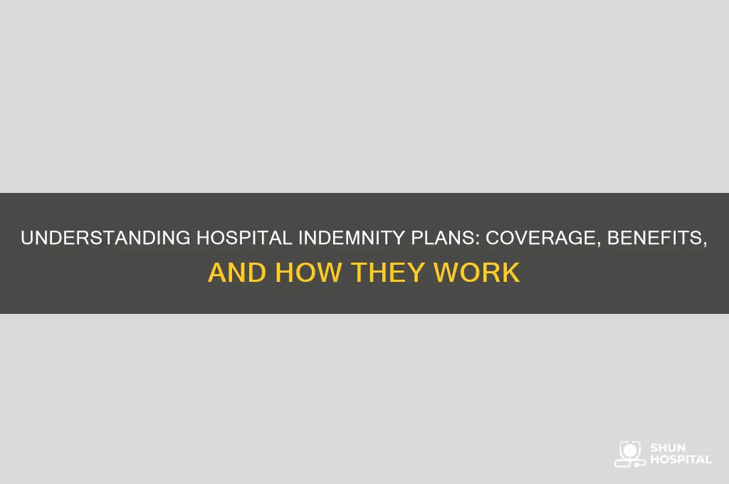 what are hospital indemnity plans