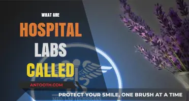 Understanding Hospital Labs: Names, Roles, and Essential Functions Explained