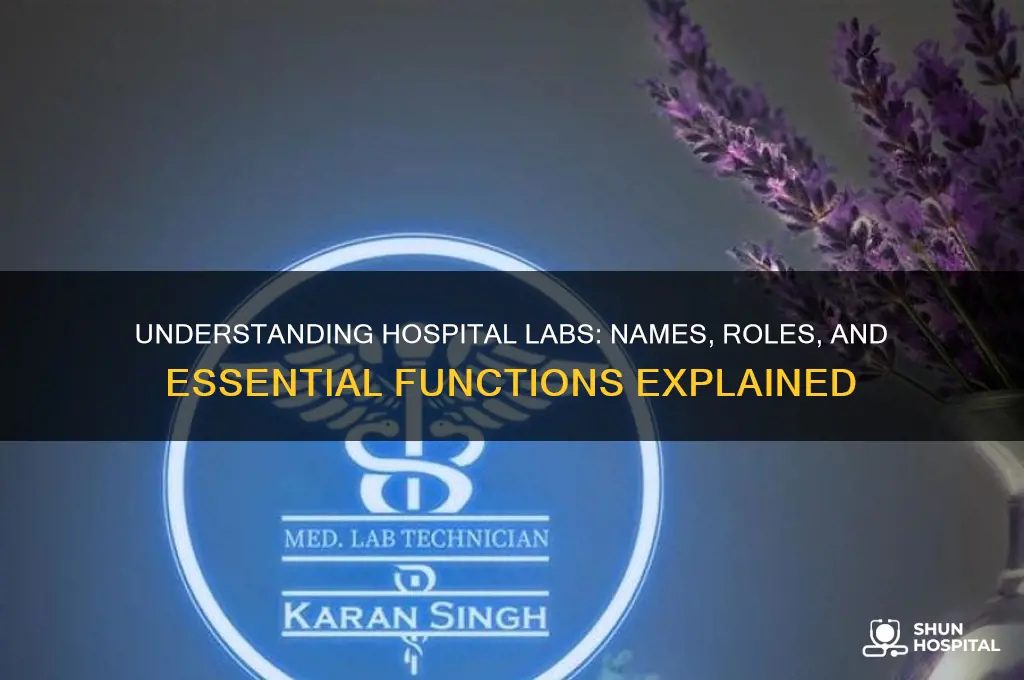 what are hospital labs called