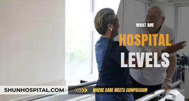 Understanding Hospital Levels: A Comprehensive Guide to Healthcare Facility Types