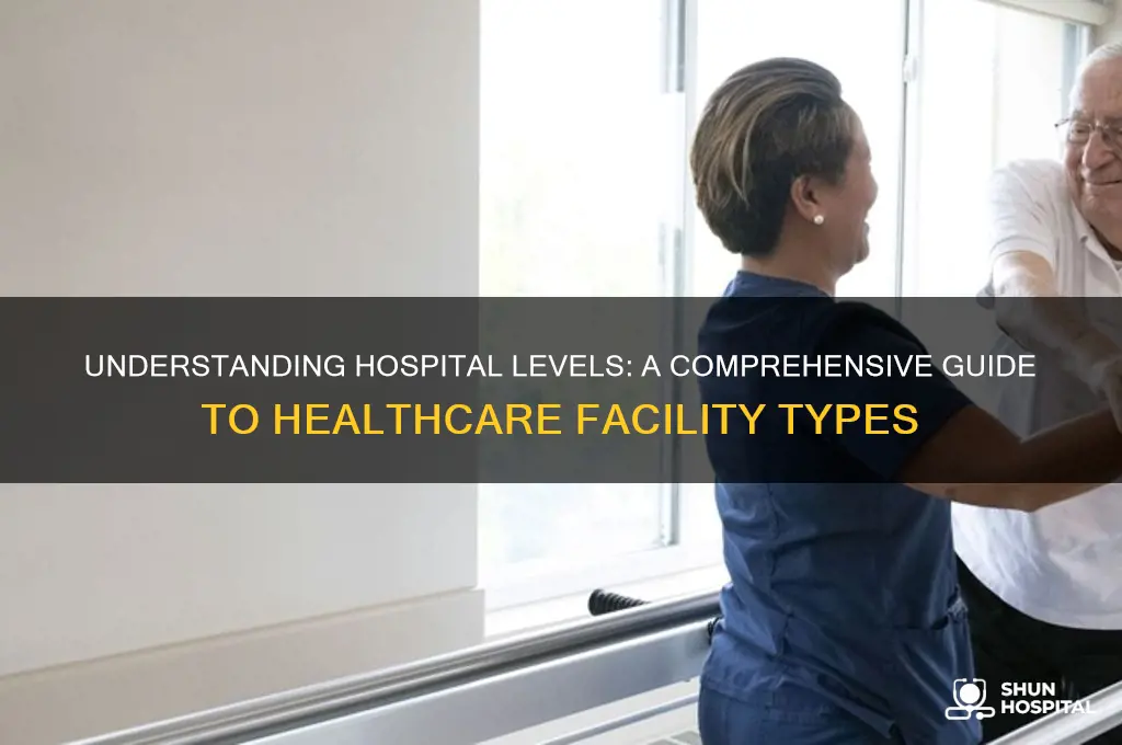 what are hospital levels