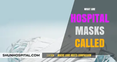 Understanding Hospital Masks: Types, Uses, and Their Official Names