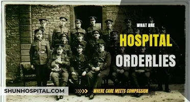 Understanding Hospital Orderlies: Roles, Responsibilities, and Importance in Healthcare