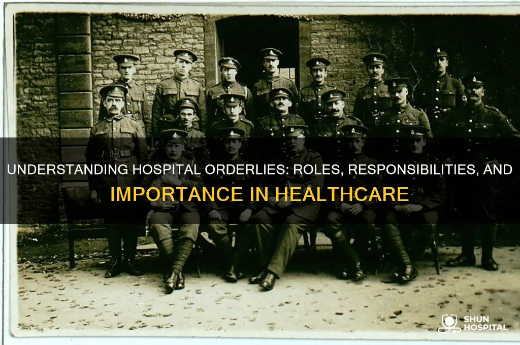 what are hospital orderlies