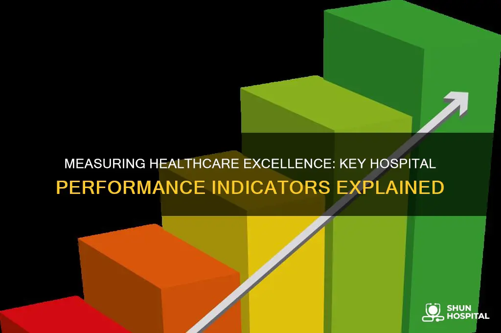 what are hospital performance indicators