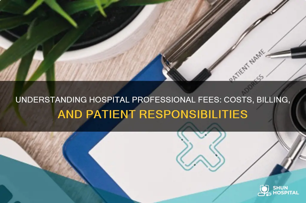 what are hospital professional fees