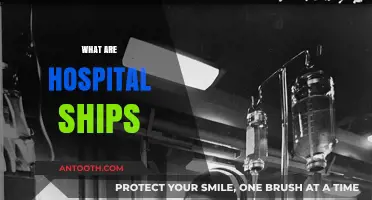Hospital Ships: Floating Lifelines in Global Healthcare and Crisis Response