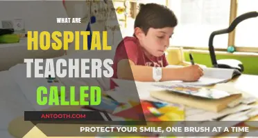 Understanding the Role of Hospital Teachers: Their Unique Title and Impact