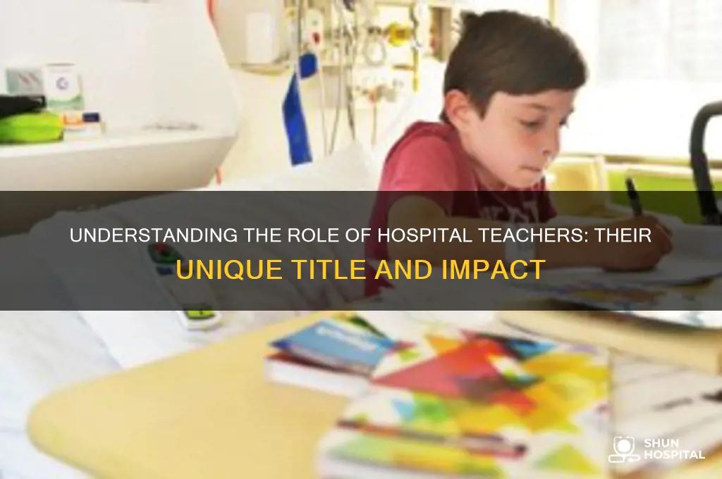 what are hospital teachers called