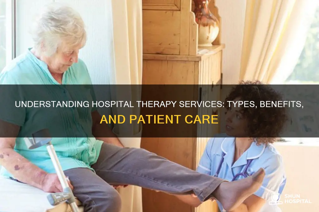 what are hospital therapy services