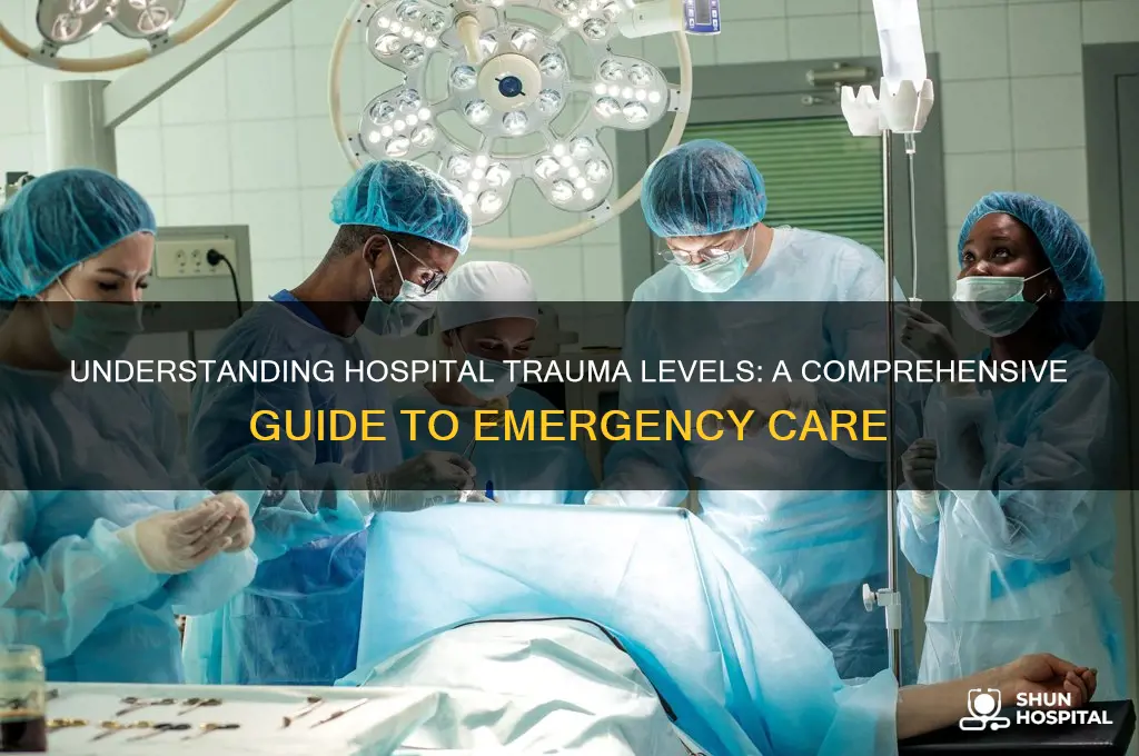 what are hospital trauma levels