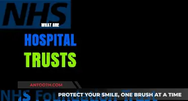 Understanding Hospital Trusts: Structure, Role, and Impact on Healthcare