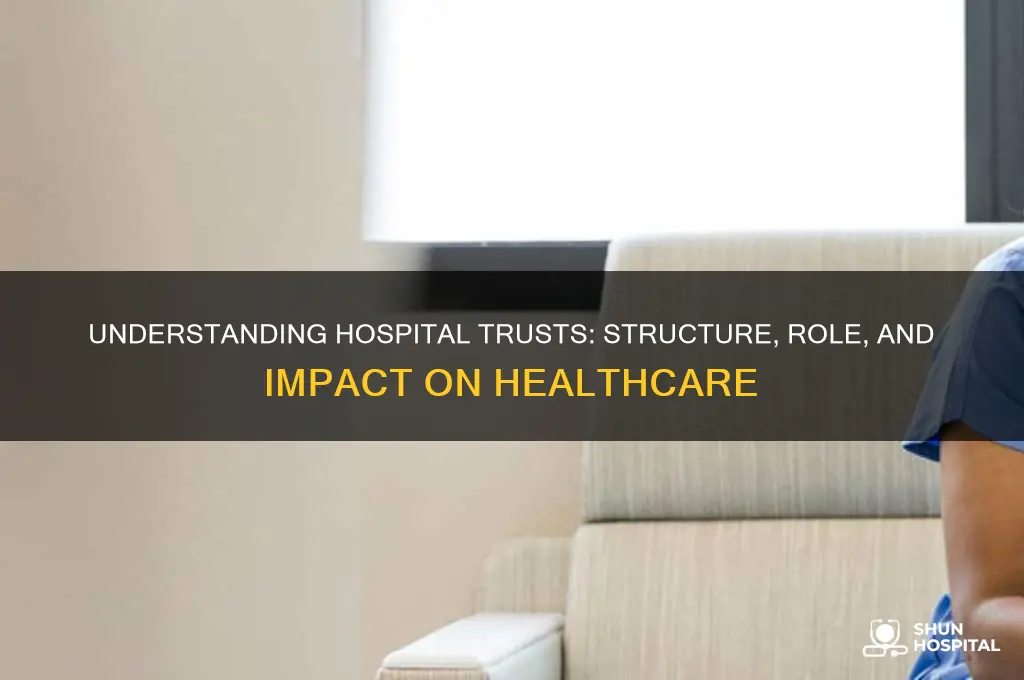 what are hospital trusts