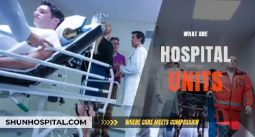 Understanding Hospital Units: Essential Departments and Their Unique Roles