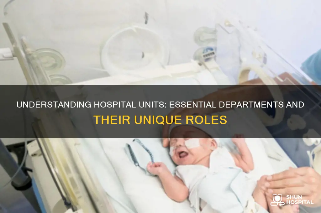 what are hospital units