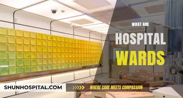 Understanding Hospital Wards: Essential Units for Patient Care and Recovery